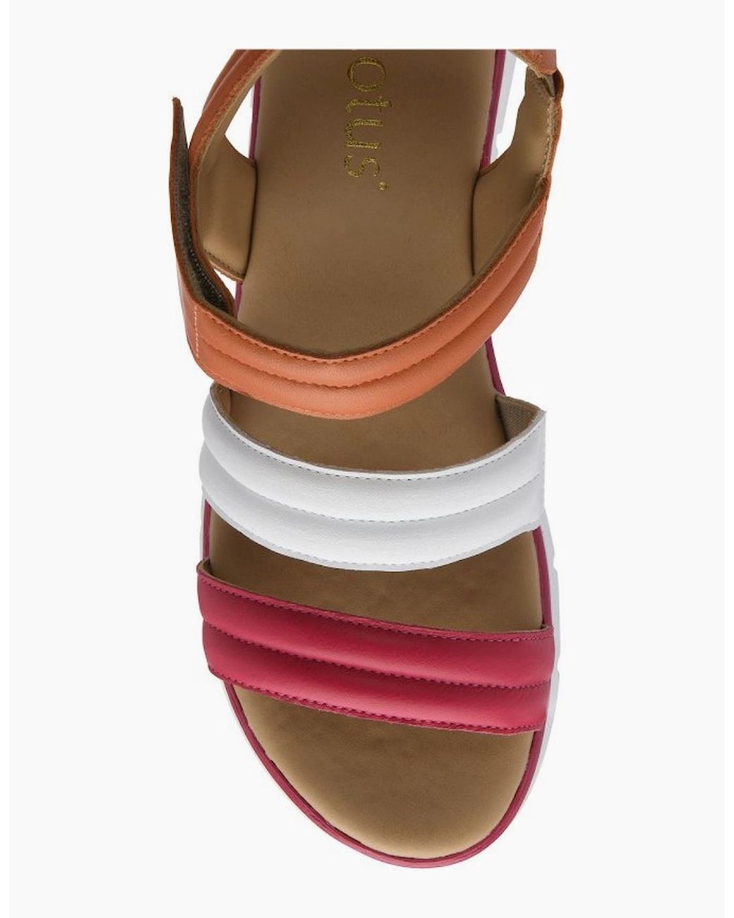 Lotus Pink Zamira Sandals