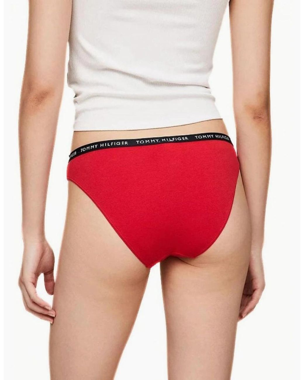 Tommy Hilfiger Blue 3-Pack Logo Waistband Bikini Briefs