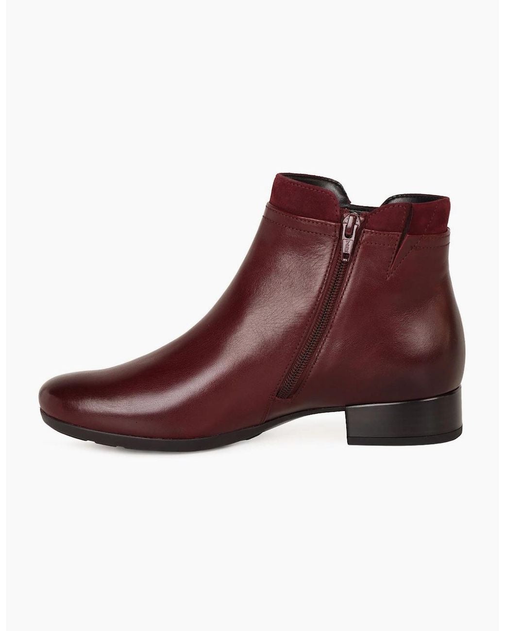 Gabor Purple Briano Ankle Boots