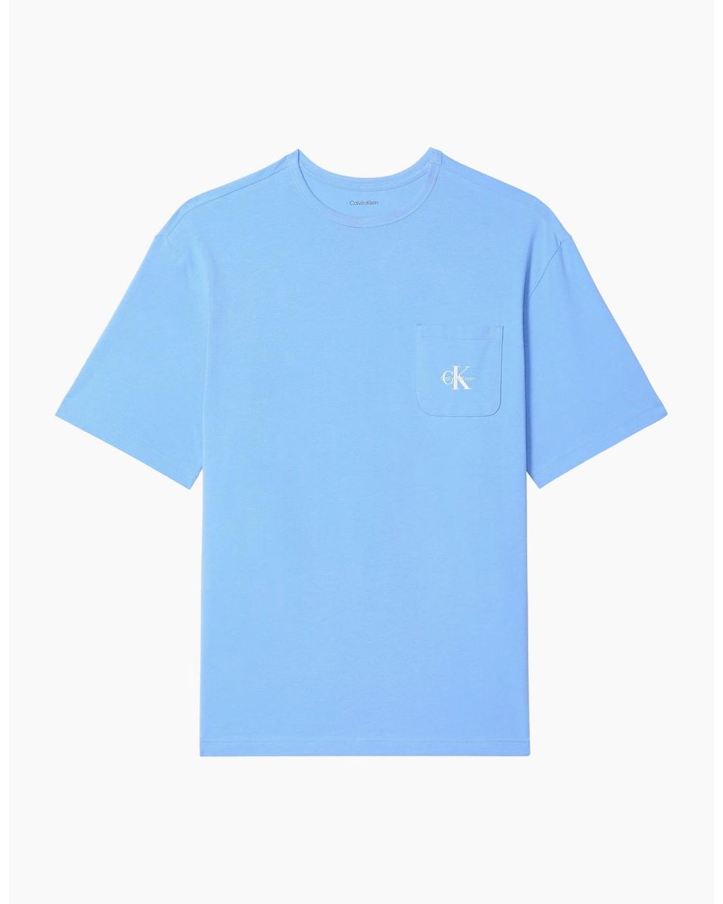 Calvin Klein Blue 2 Pack Ss T-Shirt T-Shirts & Tank Tops Descent for men