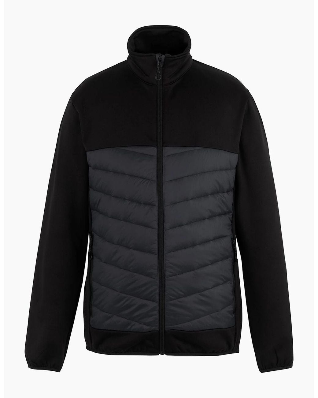 Regatta Black Loft Lite Hybrid Padded Jacket for men