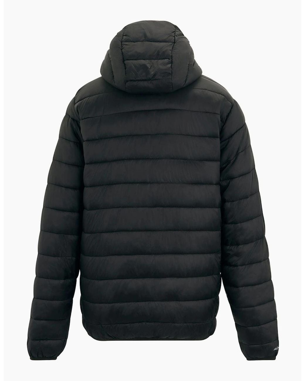 Regatta Black Marizion Baffled Hooded Padded Jacket for men