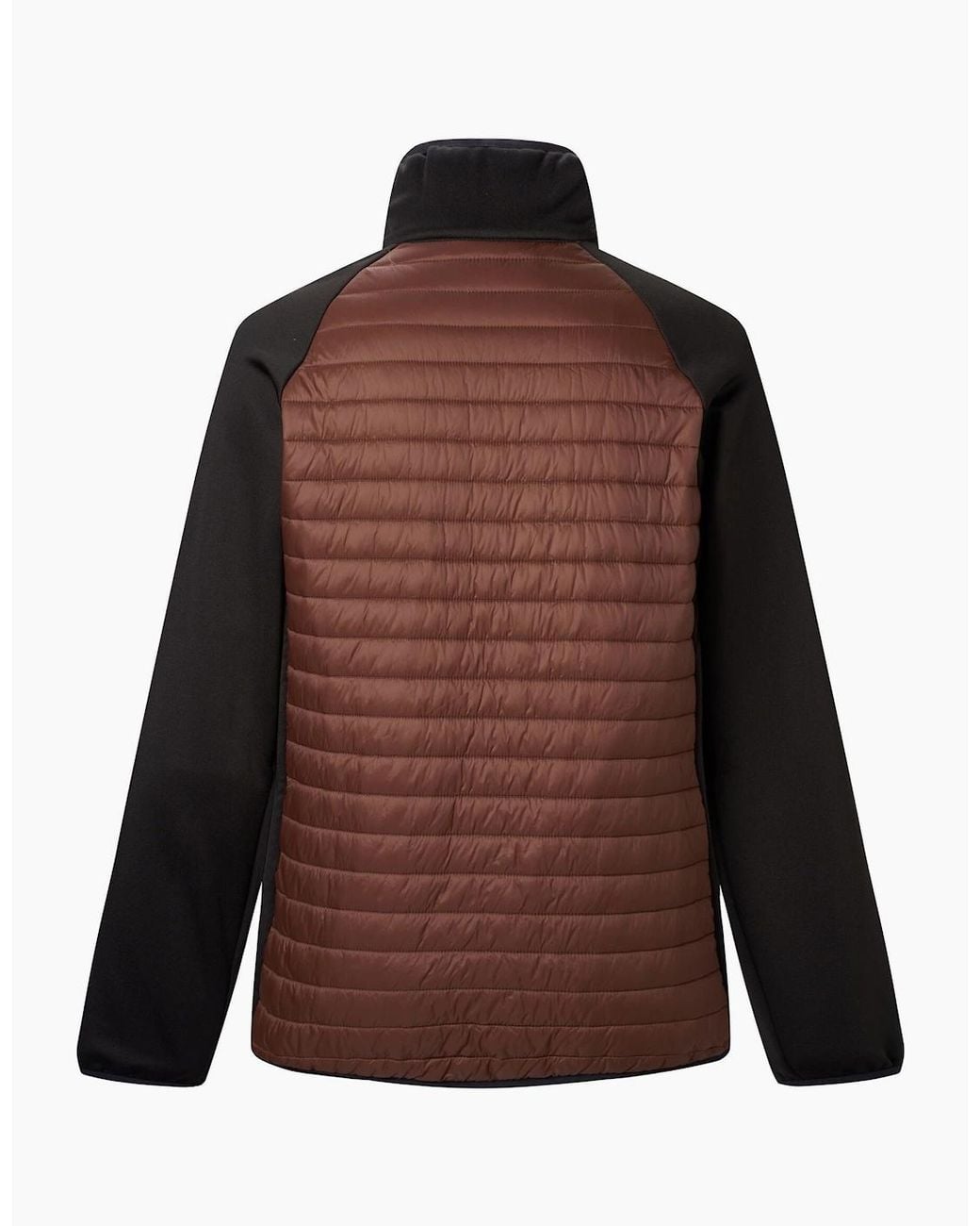 Regatta Brown Clumber Hybrid Jacket for men
