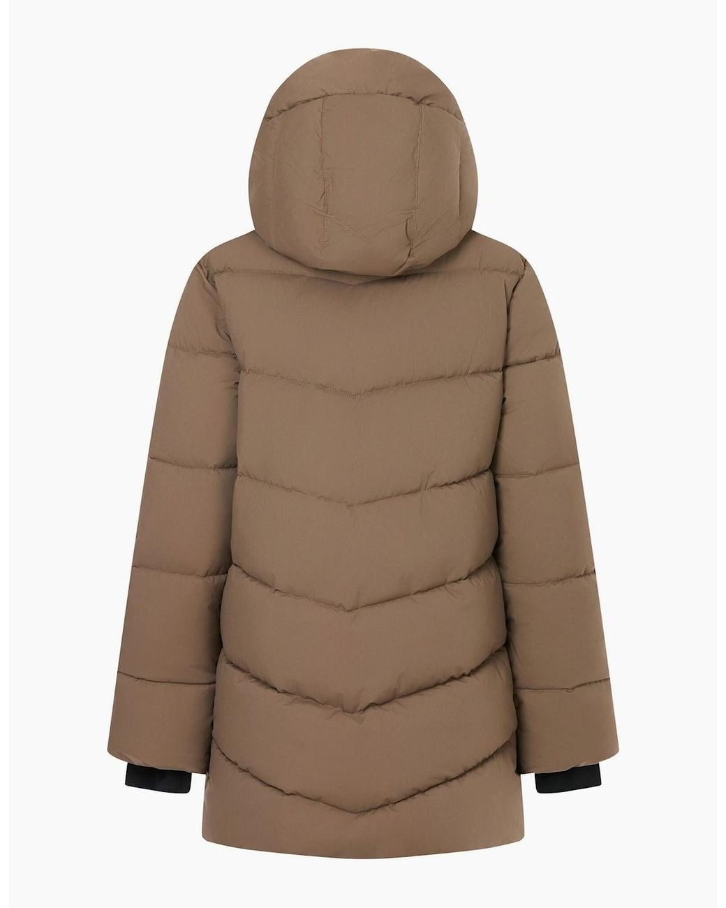 Regatta Natural Ladies Faye Padded Jacket