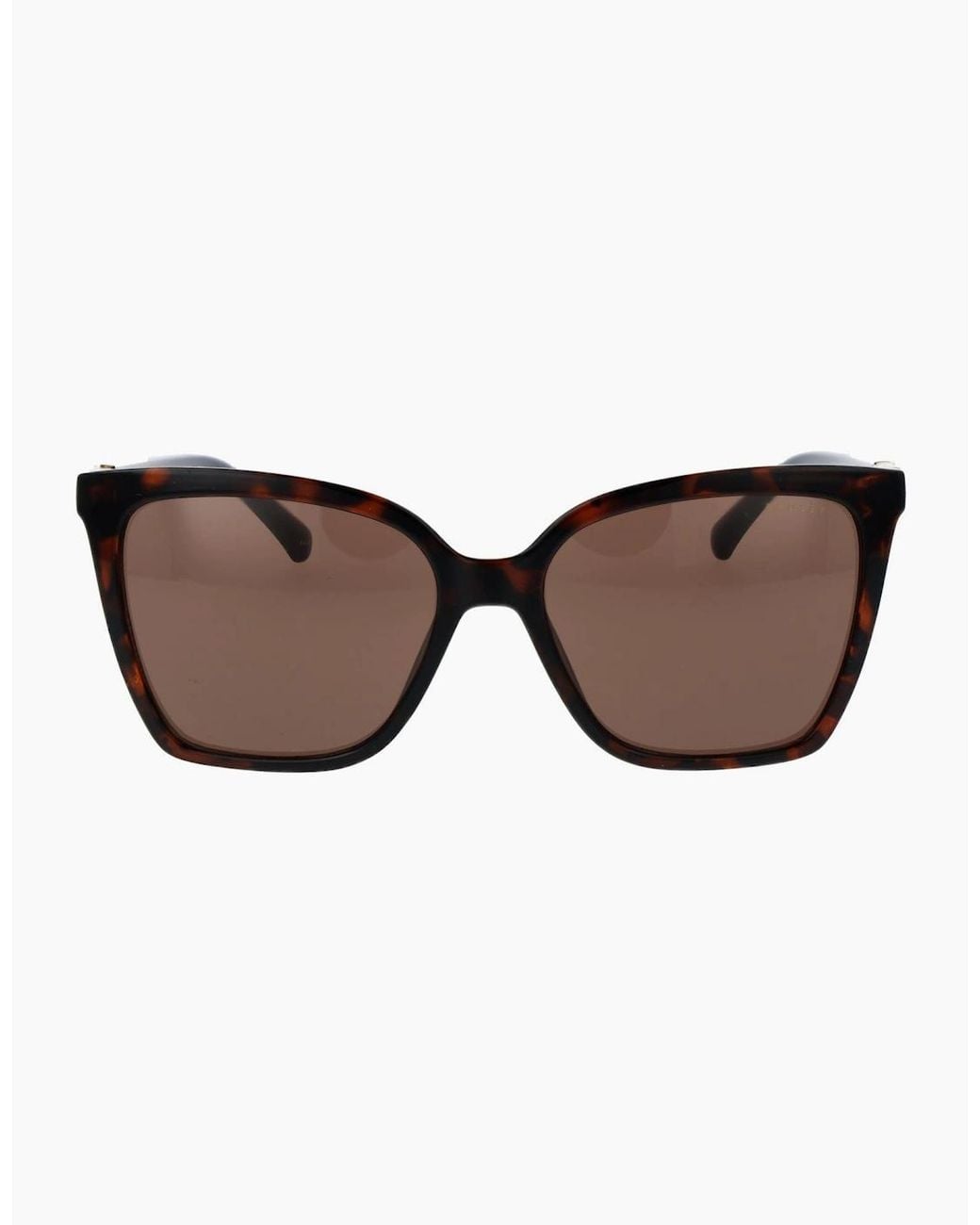Radley Brown Sunglasses Rds-6557 102 54