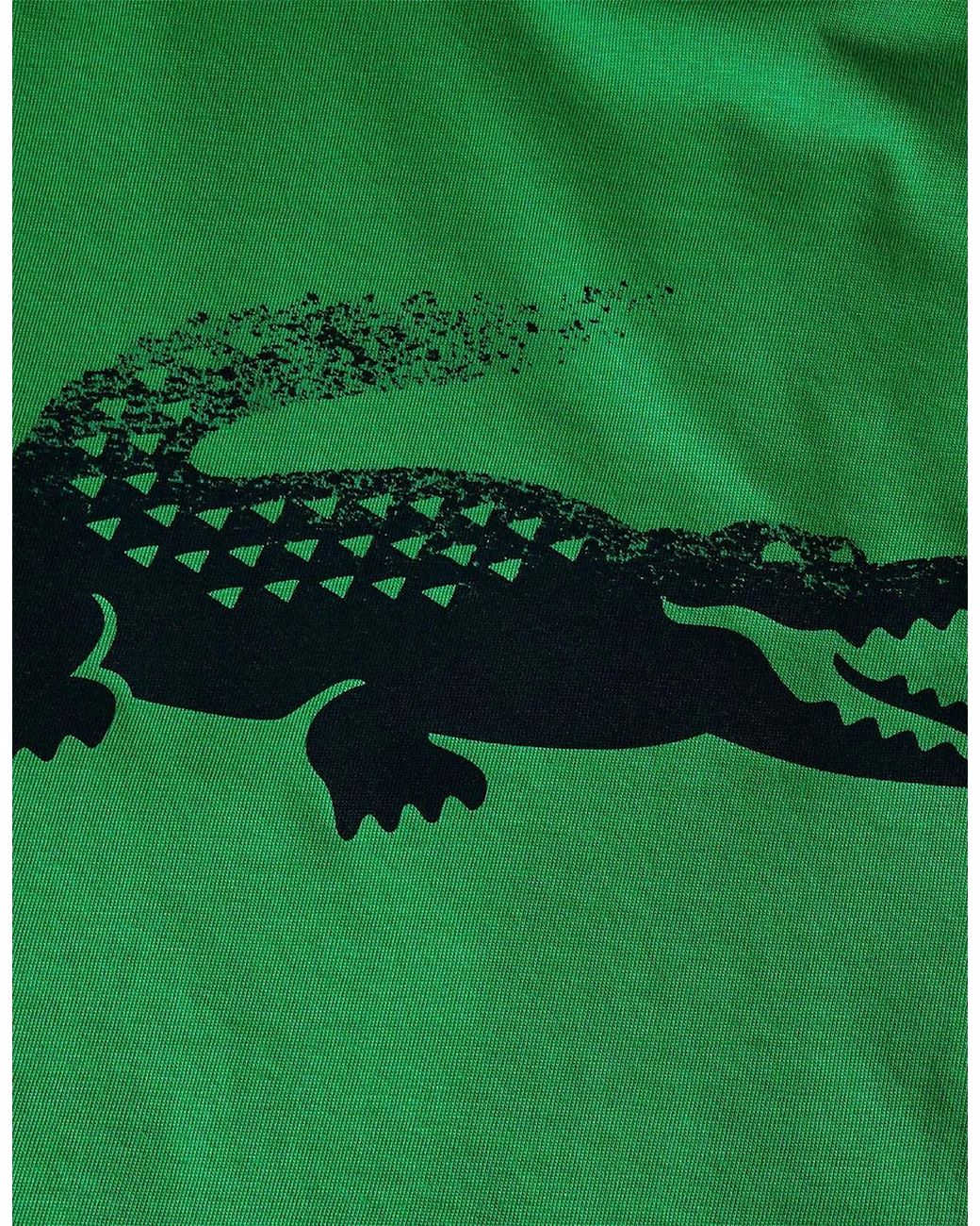 Lacoste Green Medvedev Tennis T Shirt for men