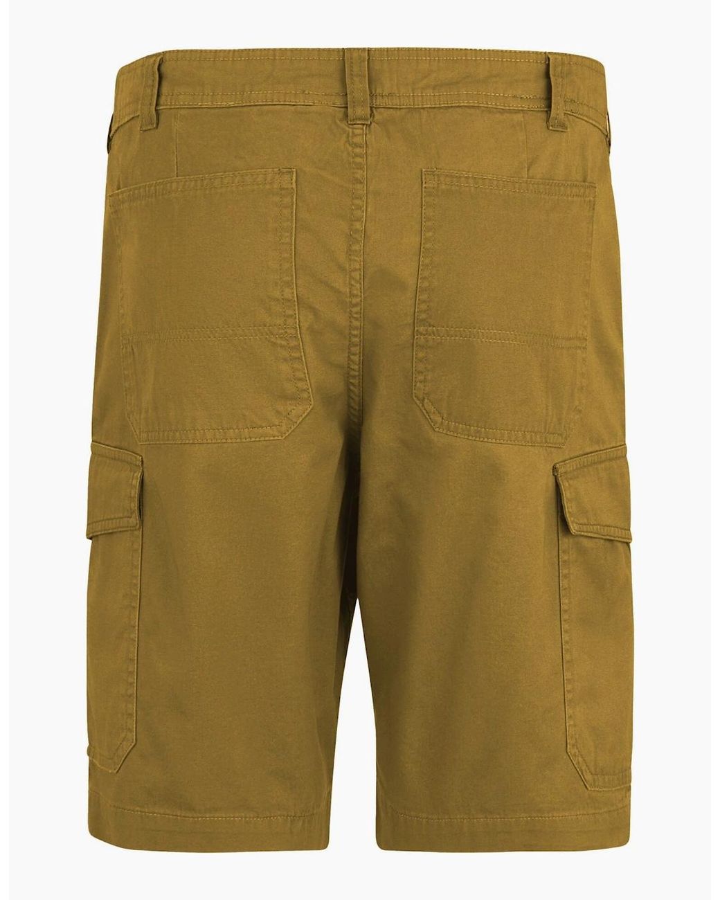 Regatta Green Ruwan Casual Shorts for men