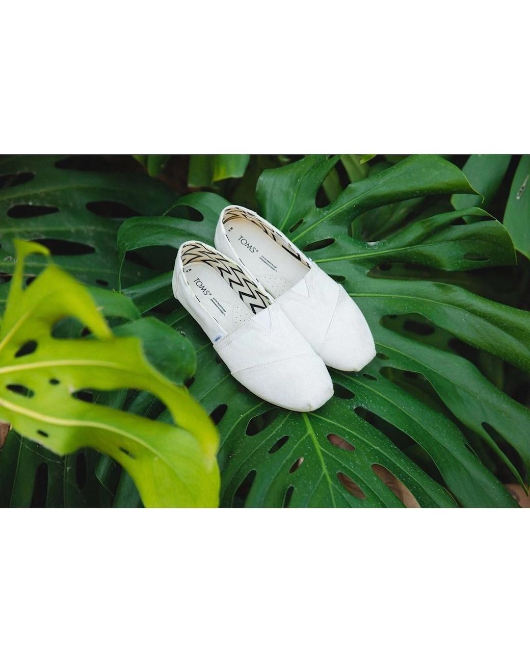 TOMS White Alpargata 100% Cotton Espadrilles for men