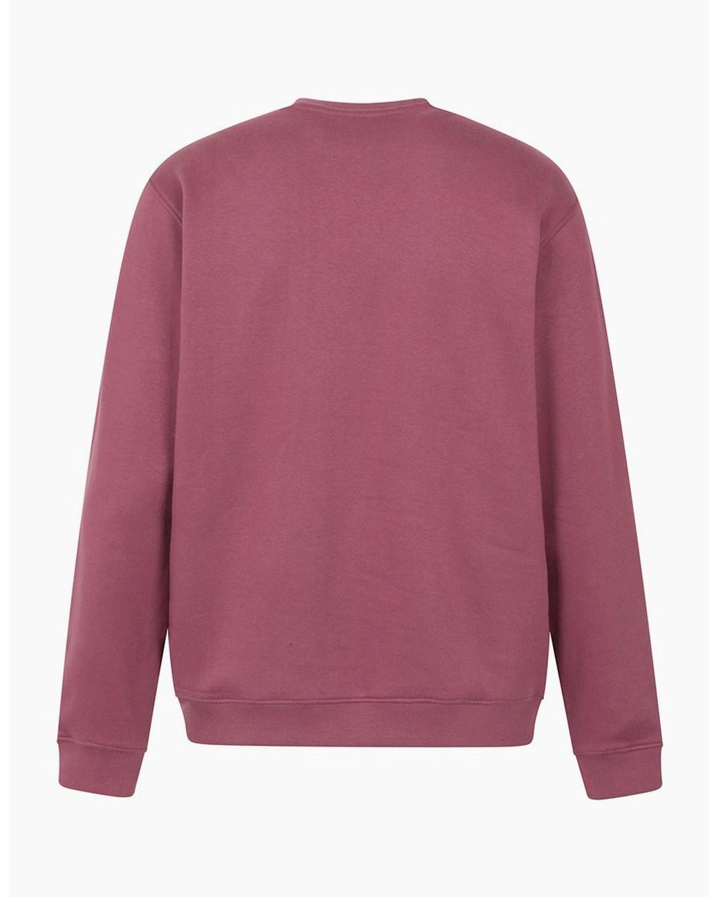 Mountain Warehouse Purple Mountain Scene Sweatshirt for men