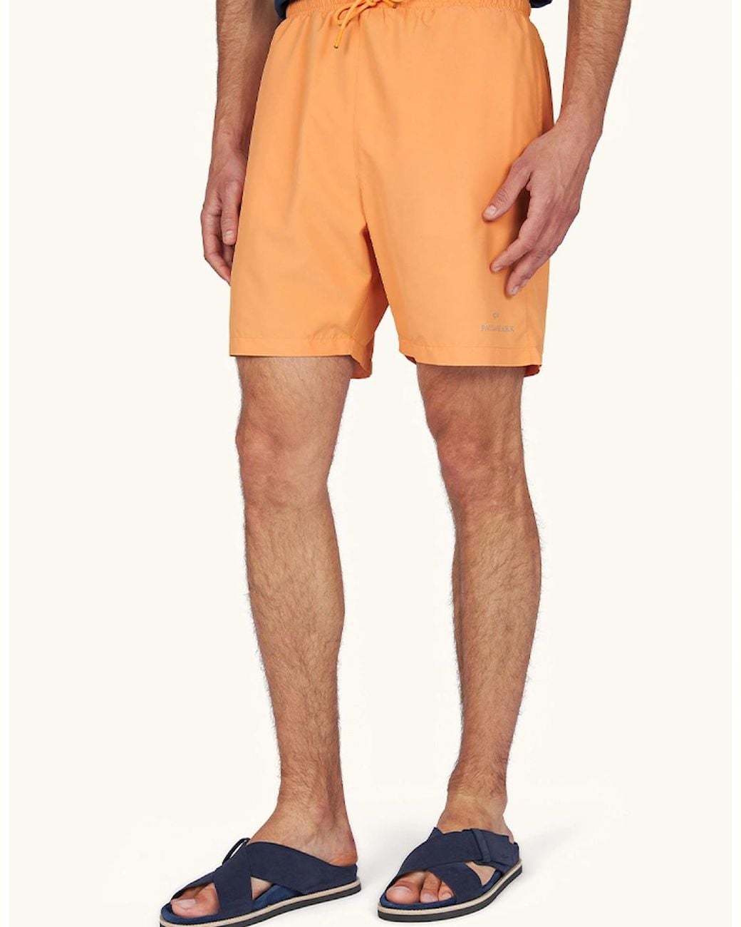 Paul & Shark Blue Portofino Swimwear With Reflective Logo Print for men