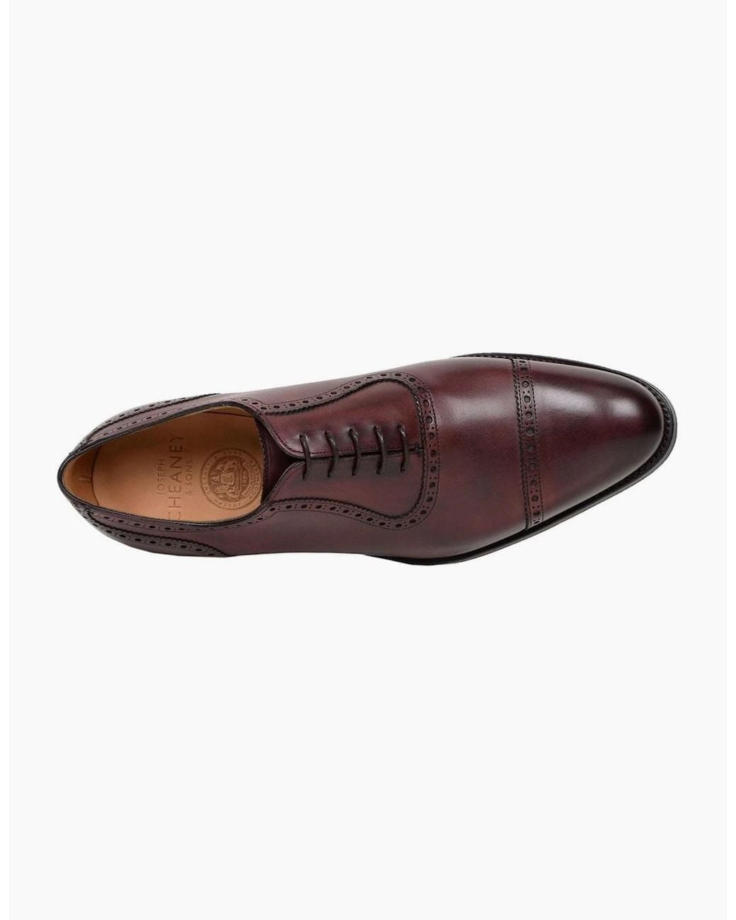 Cheaney Purple Fenchurch Oxford Shoes for men