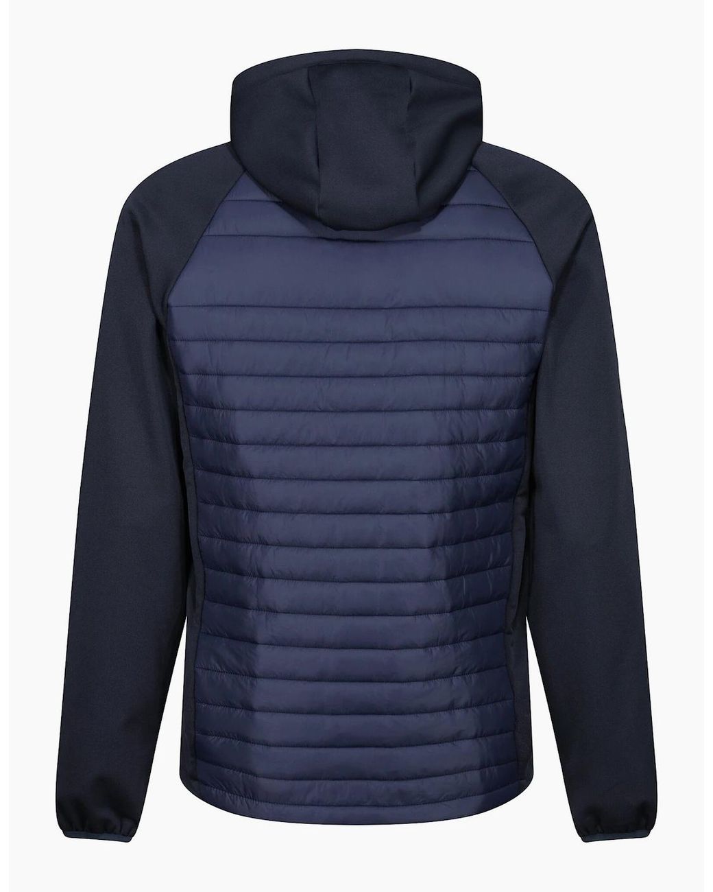 Regatta Blue Navigate Quilted Hybrid Jacket for men