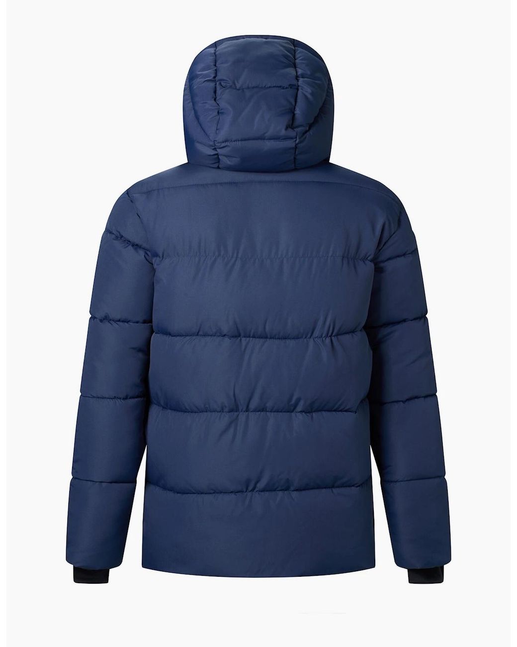 Regatta Blue Marek Short Padded Jacket for men
