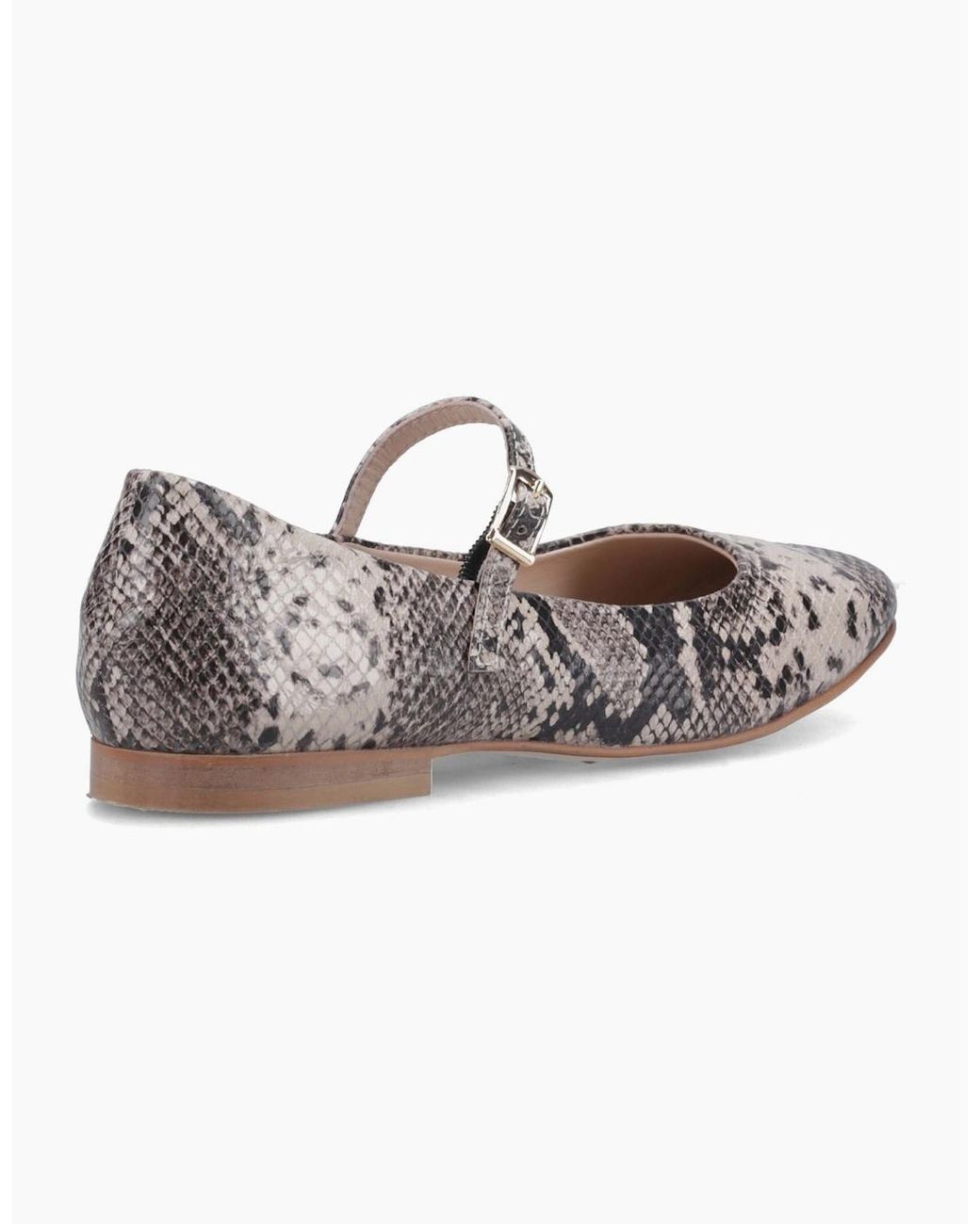 Hush Puppies Multicolor Pasha Leather Snake Flats