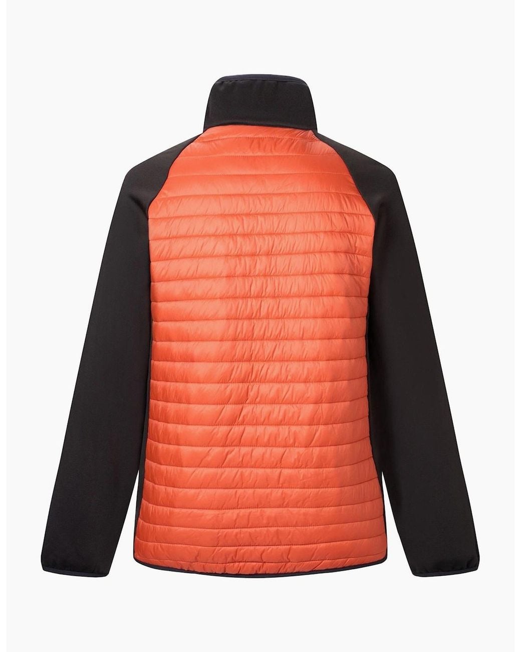 Regatta Orange Clumber Hybrid Jacket for men