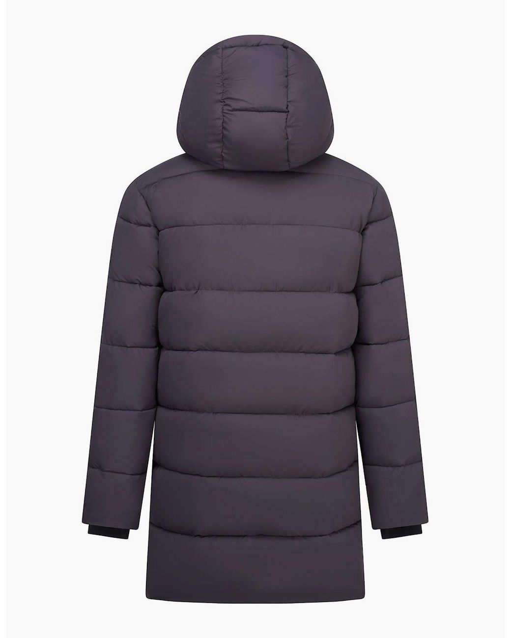 Regatta Purple Marek Longline Hybrid Jacket for men
