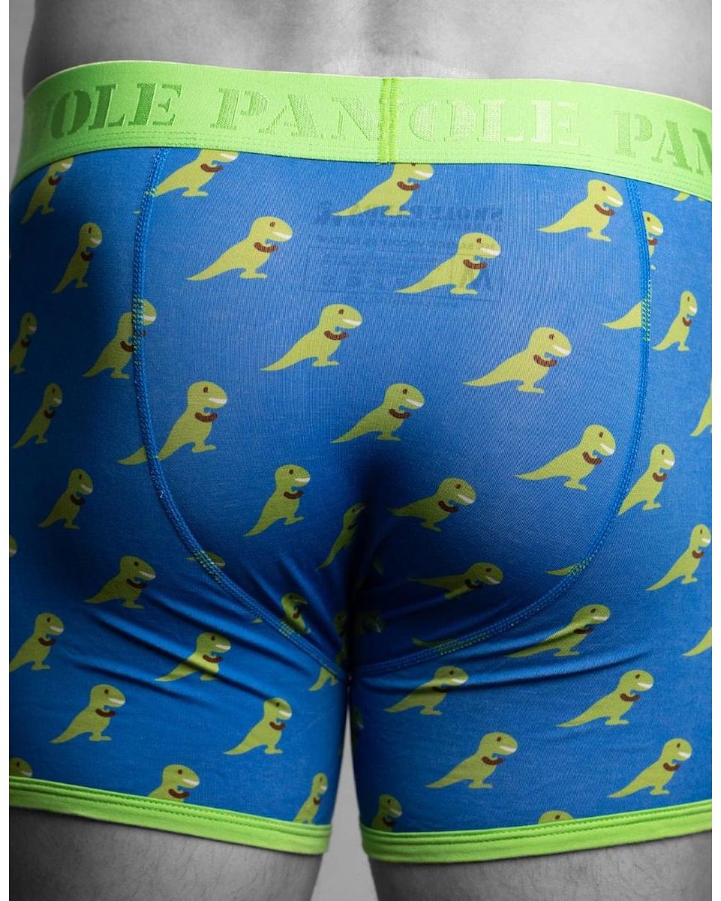 Swole Panda Green T-Rex Bamboo Boxer Brief for men