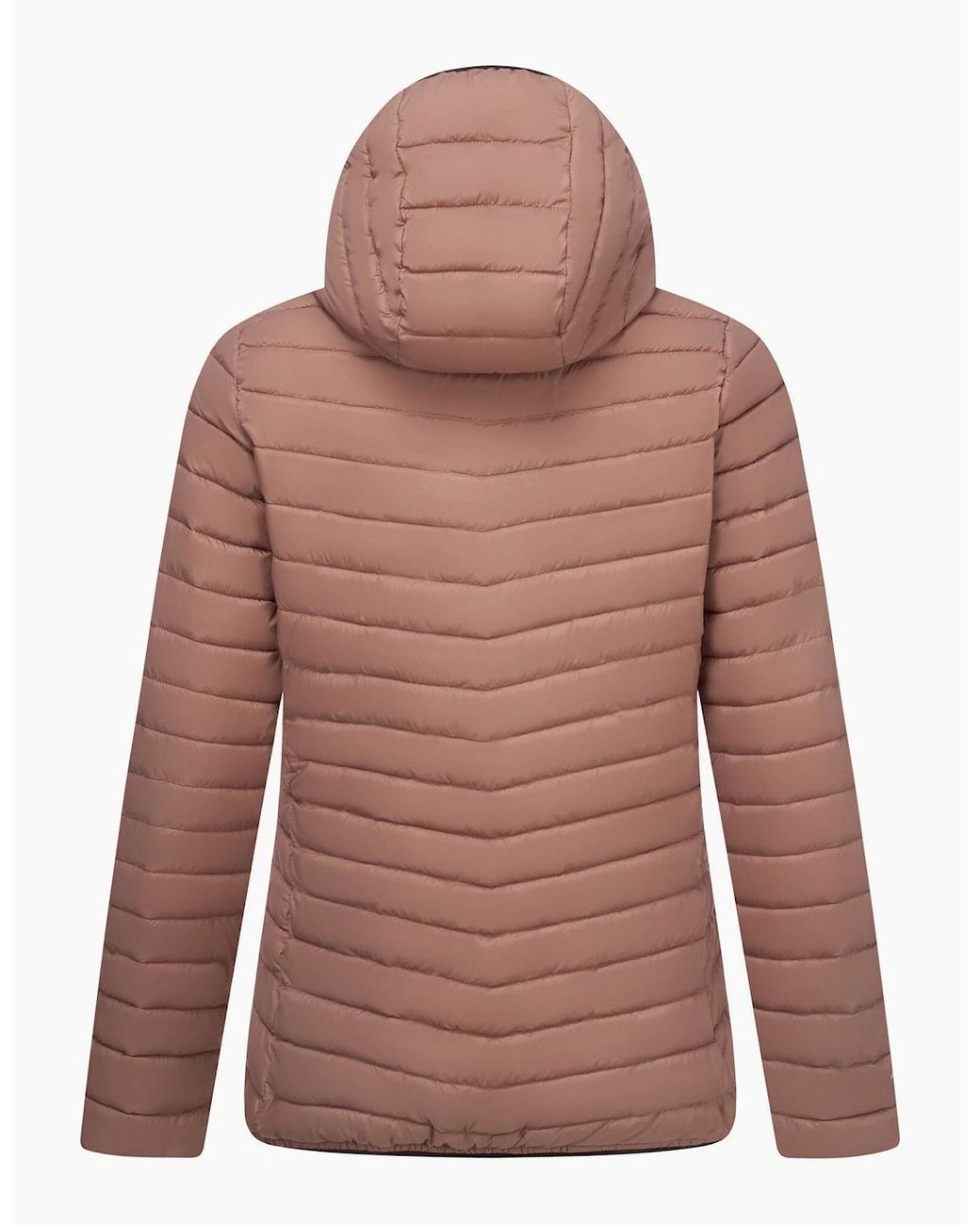 Regatta Brown Ladies Lighthouse Lightweight Padded Jacket