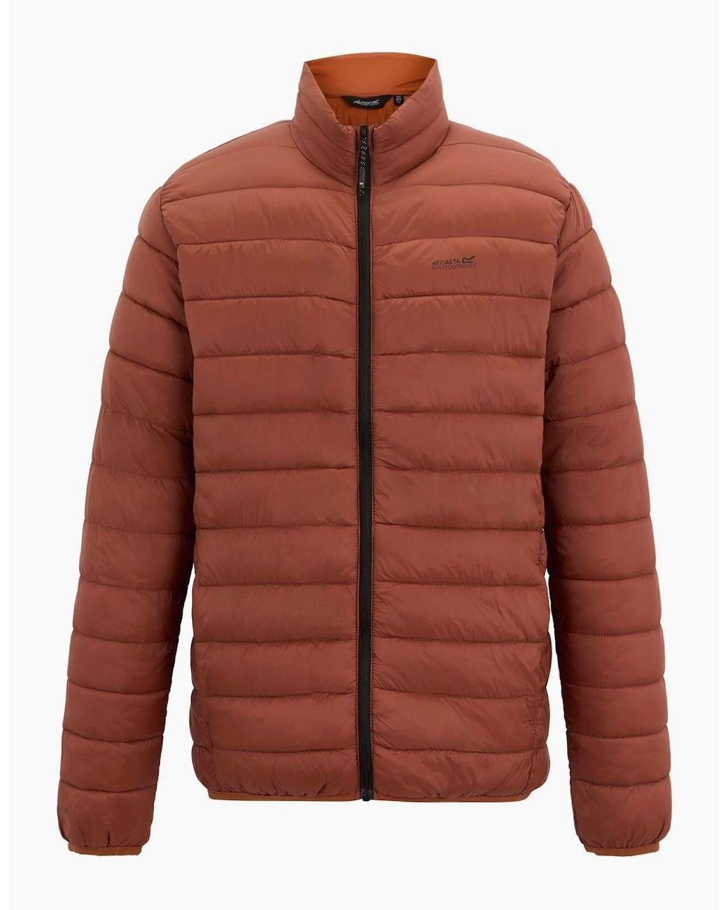 Regatta Brown Marizion Padded Jacket for men