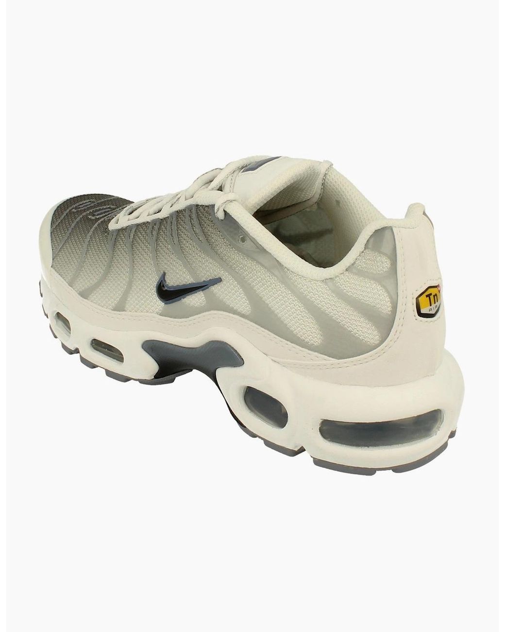 Nike Air Max Natural Plus Fq2892 100