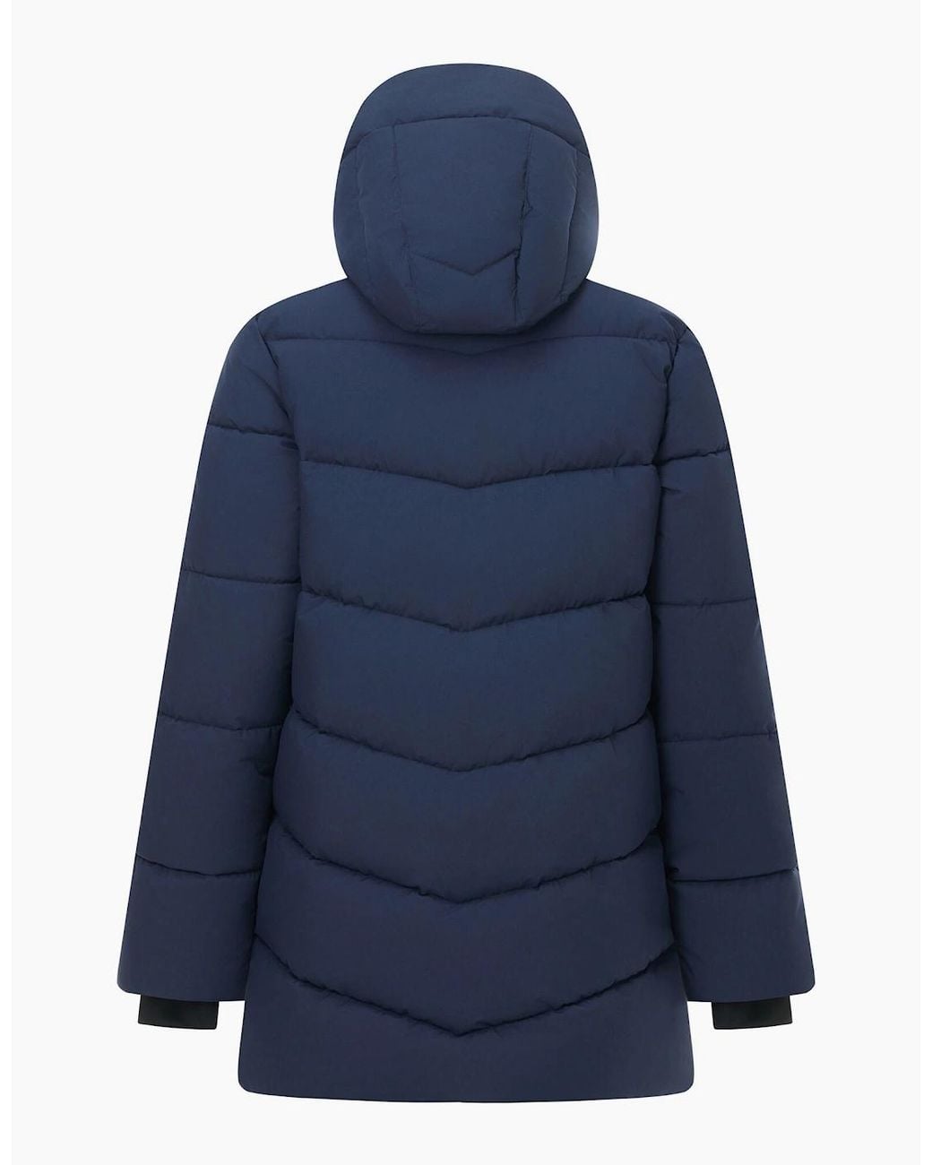 Regatta Blue Ladies Faye Padded Jacket