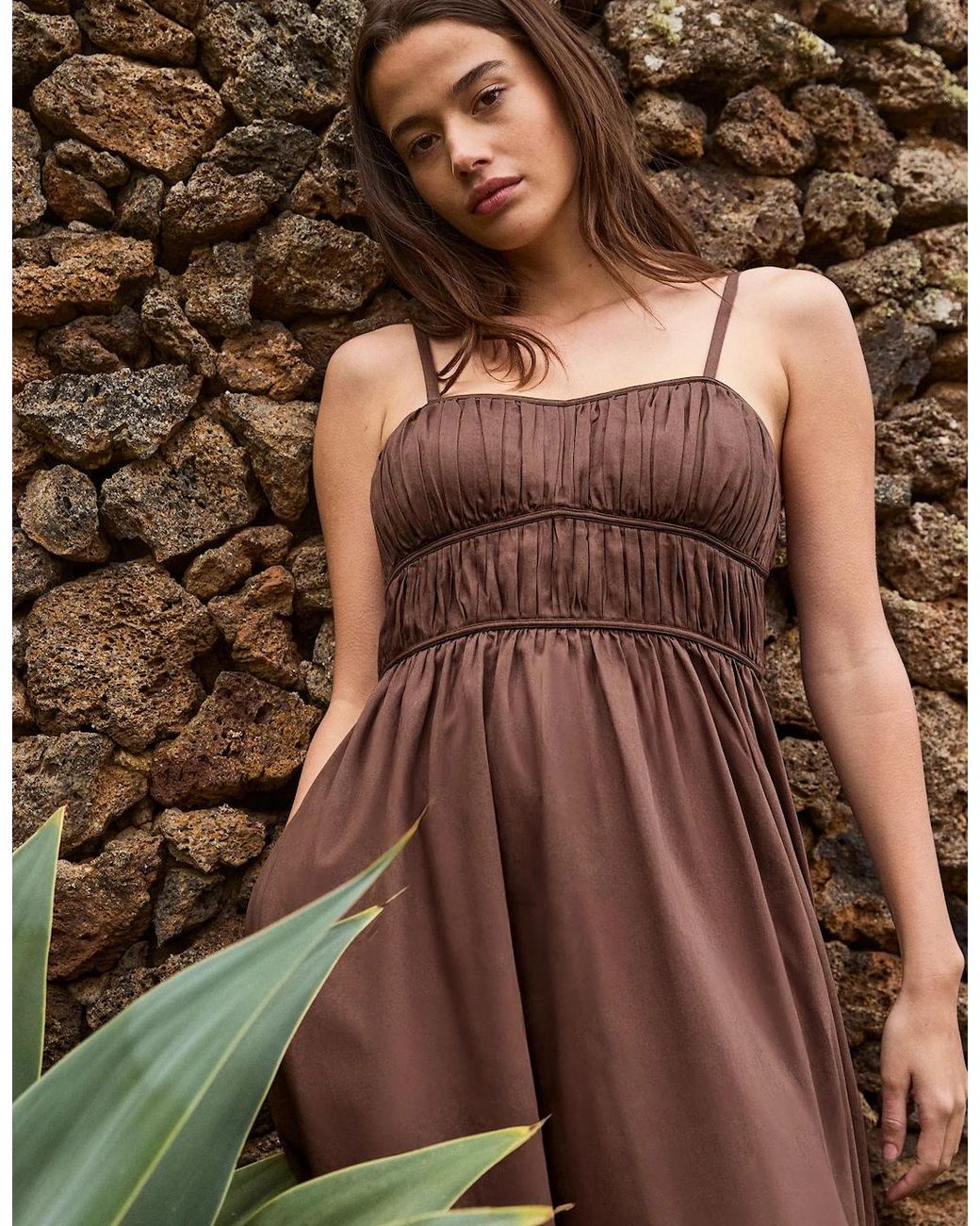 Ro&zo Brown Petite Chocolate Ruched Detail Midi Dress