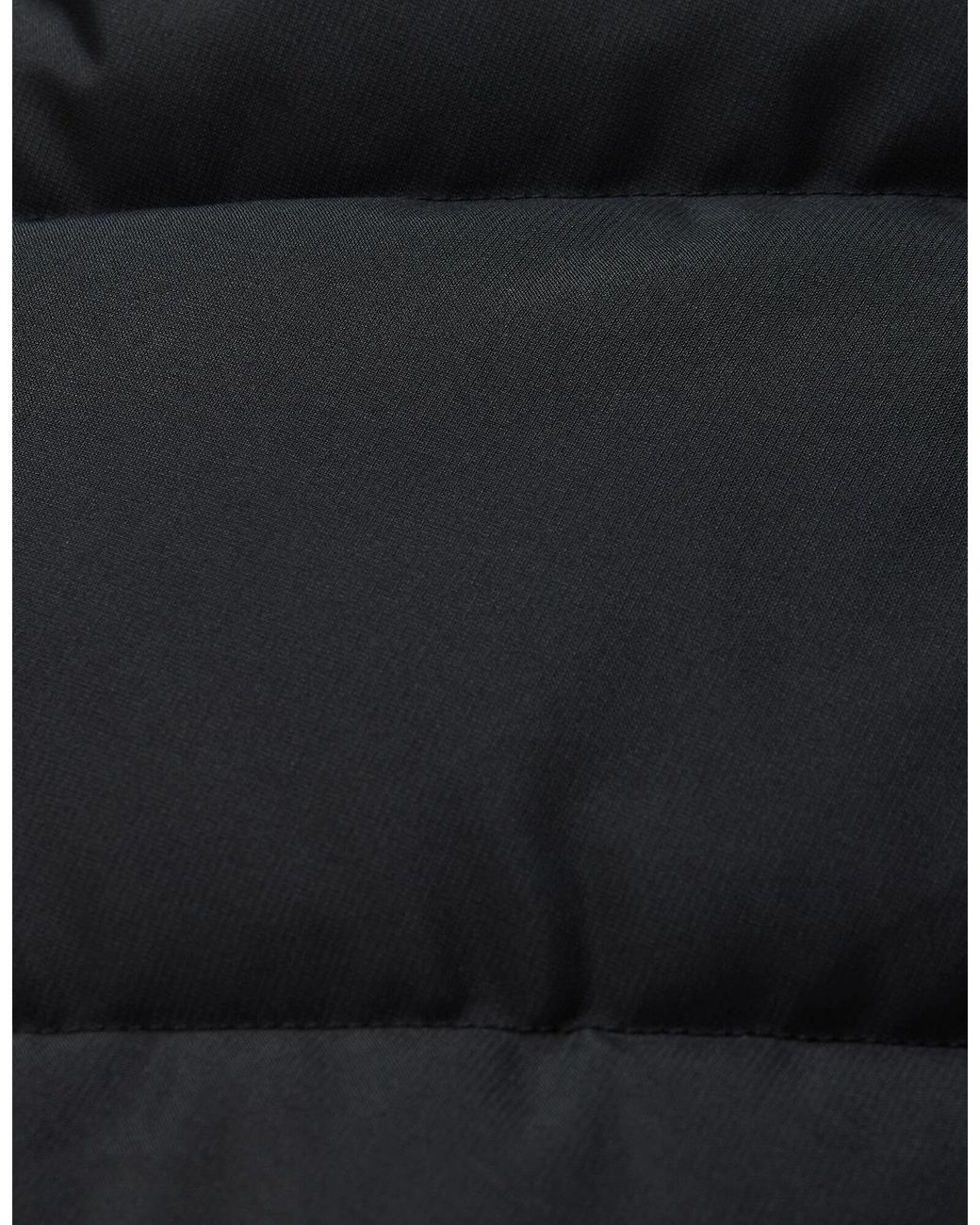Regatta Black Ladies Merida Body Warmer