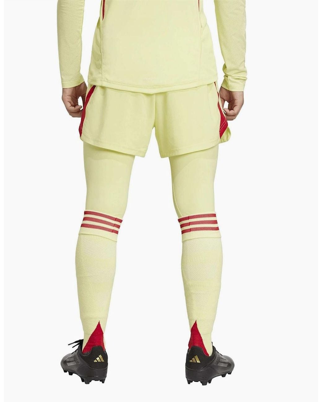 Adidas Yellow T25 P Gk Tigh for men