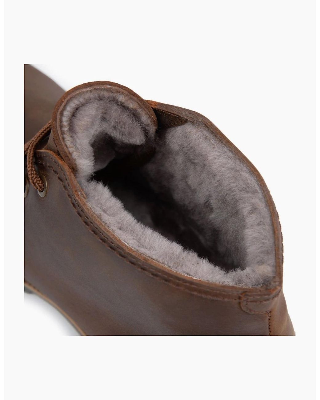 Panama Jack Brown Igloo C5 Waterproof Boots for men