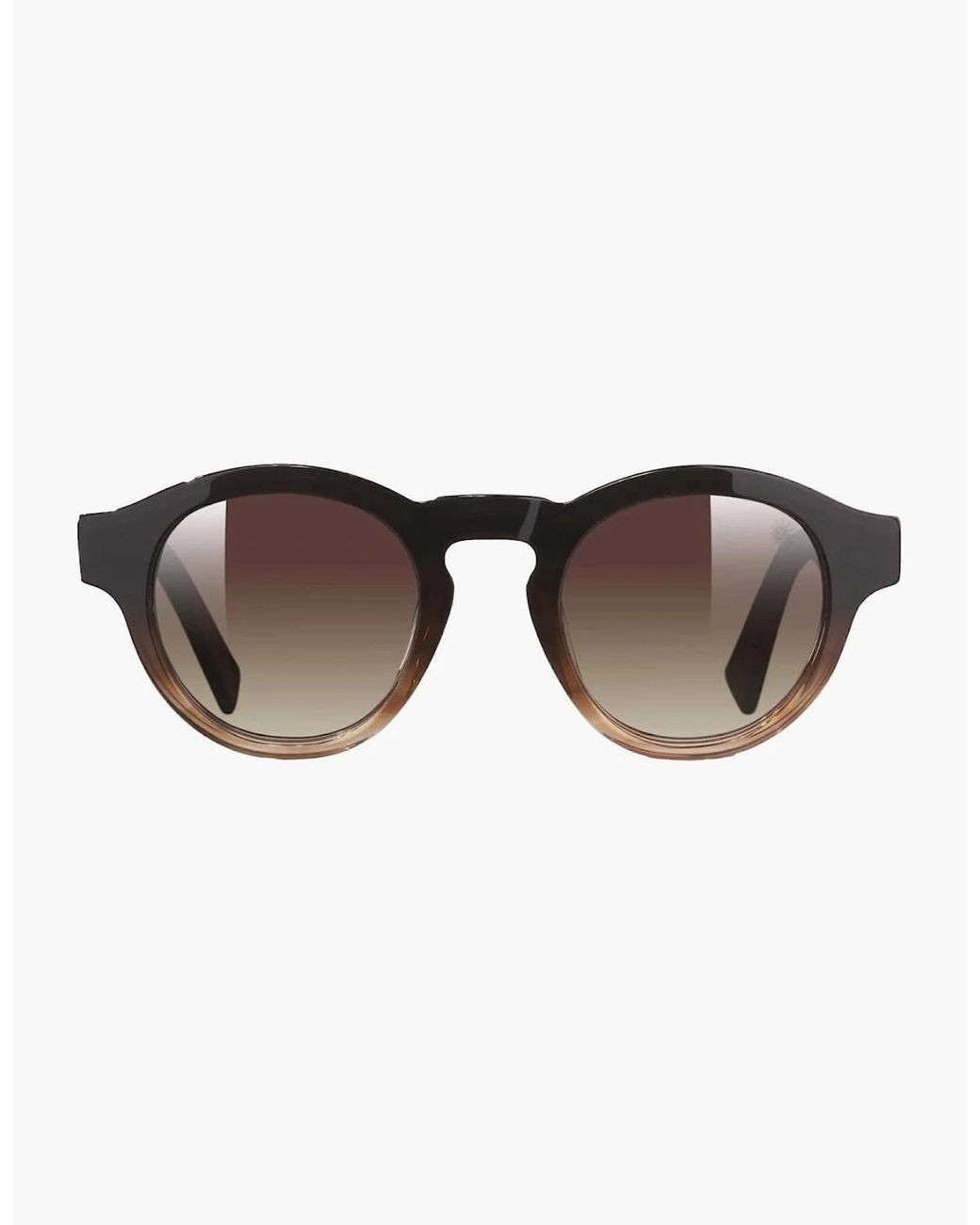 Sandbanks Brown Portofino Sunglasses Sunset for men