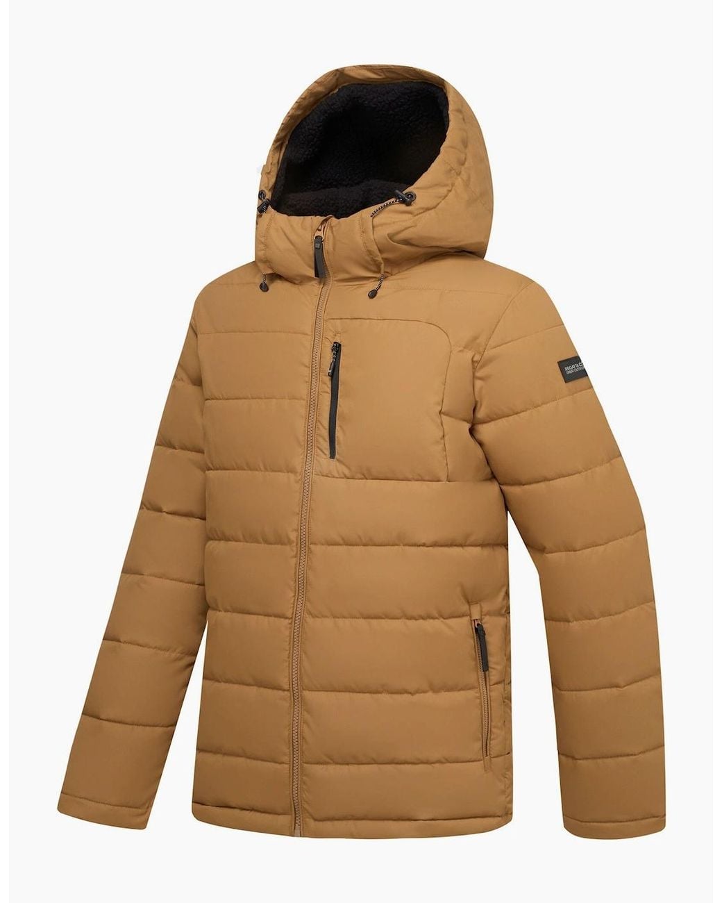 Regatta Brown Frankie Padded Jacket for men