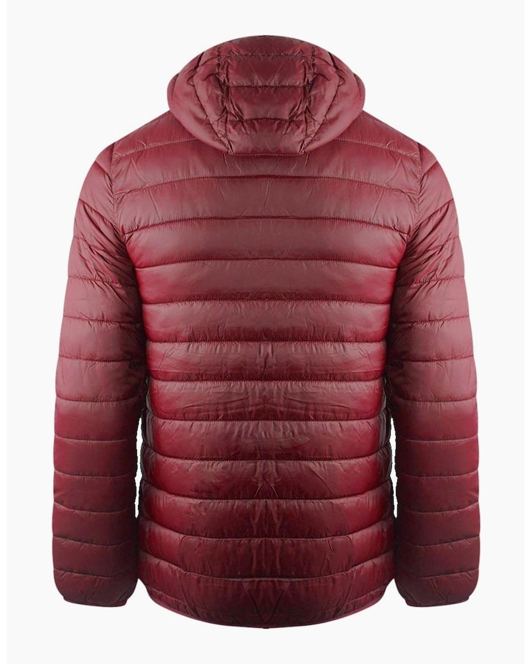 Aquascutum Red London Logo Bordeaux Active Hoodie Jacket for men