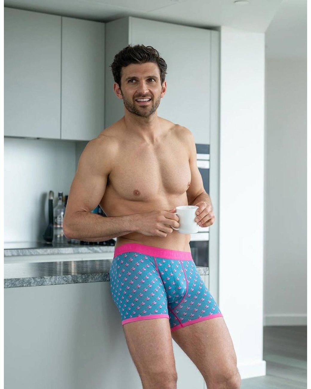 Swole Panda Blue Flamingos Bamboo Boxer Brief for men