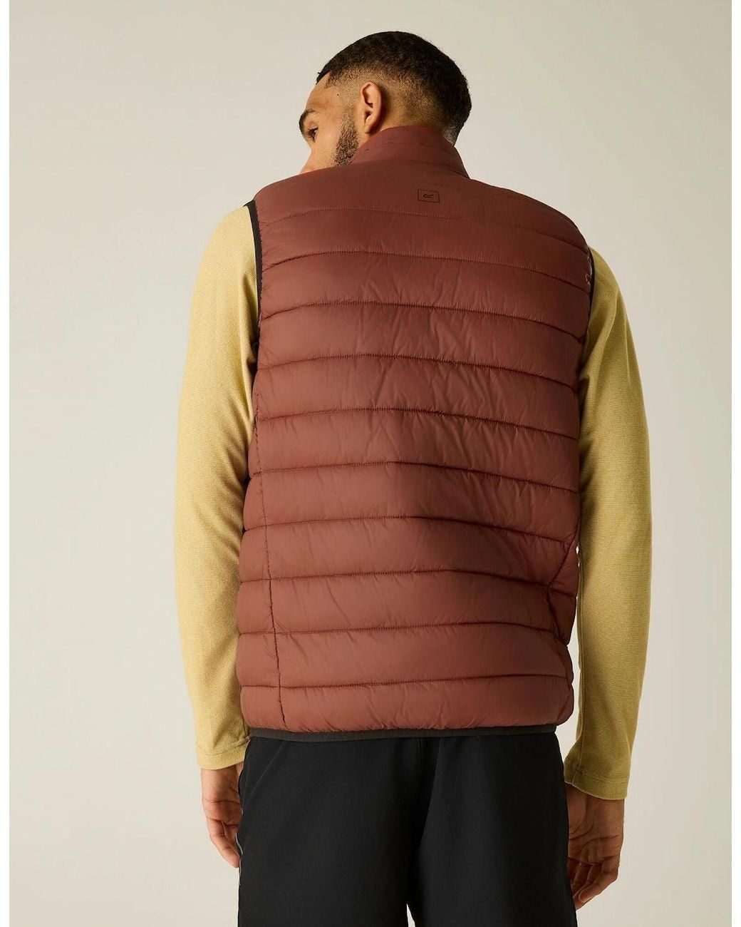 Regatta Brown Marizion Quilted Gilet for men