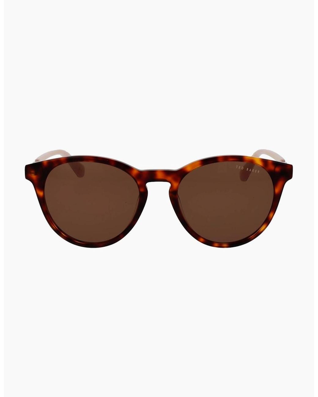 Ted Baker Brown Sunglasses Tb1746 100 51