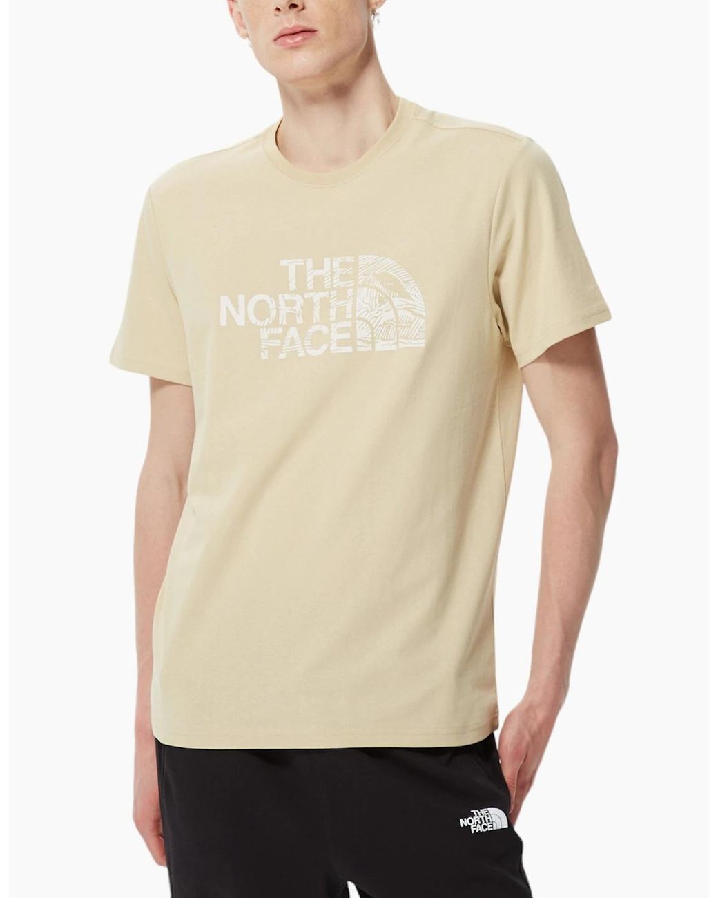 The North Face Natural T Shirts Woodcut Dome Short Sleeve Crew Neck Soft Cotton Tee for men