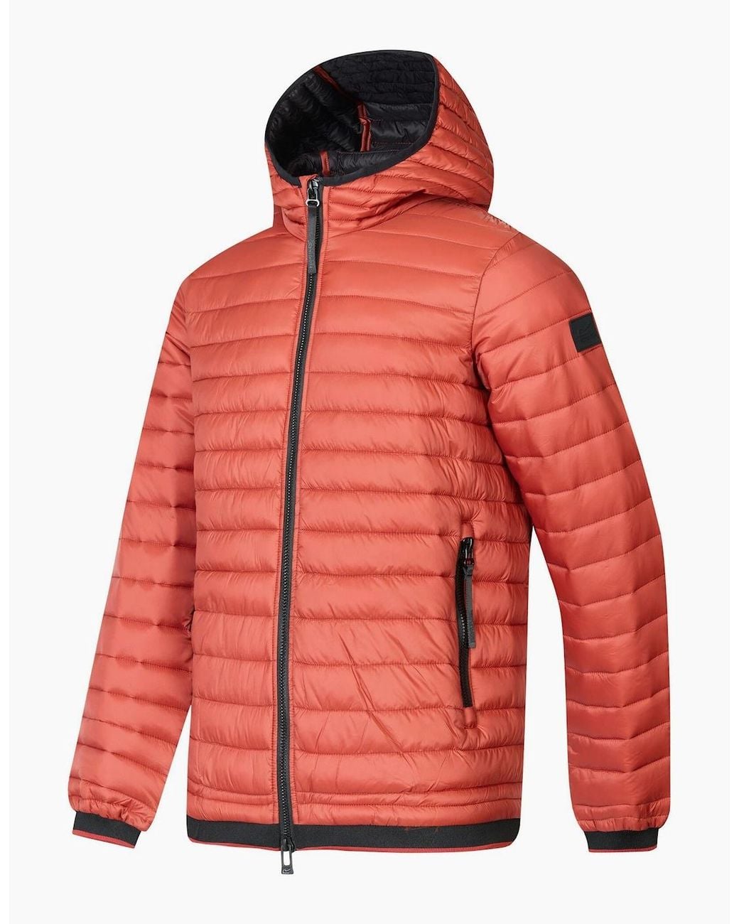 Regatta Red Haile Padded Jacket for men