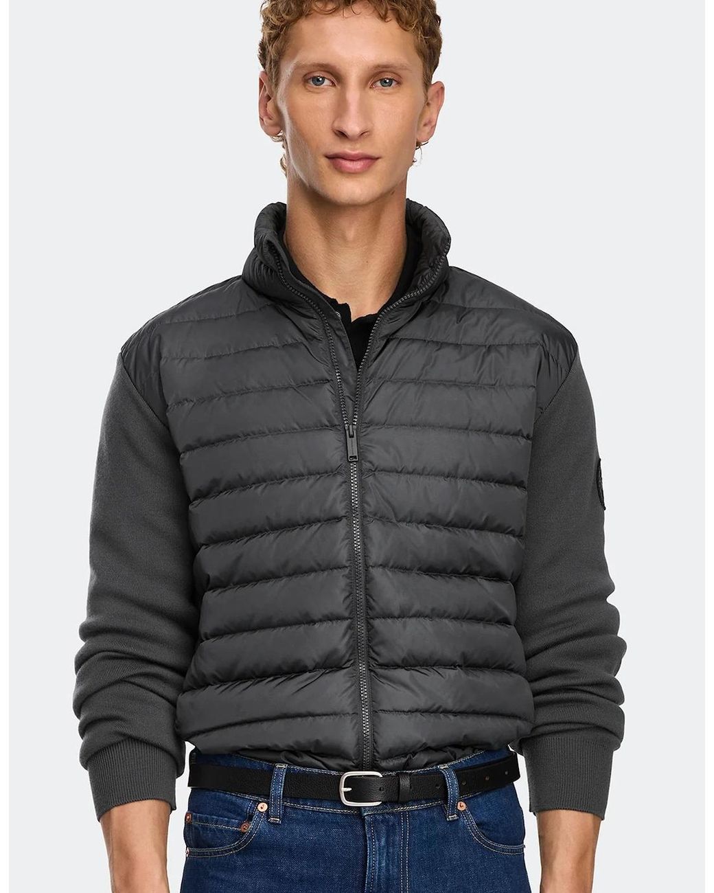 Canada Goose Gray Hybridge Flavio Jacket Disc for men