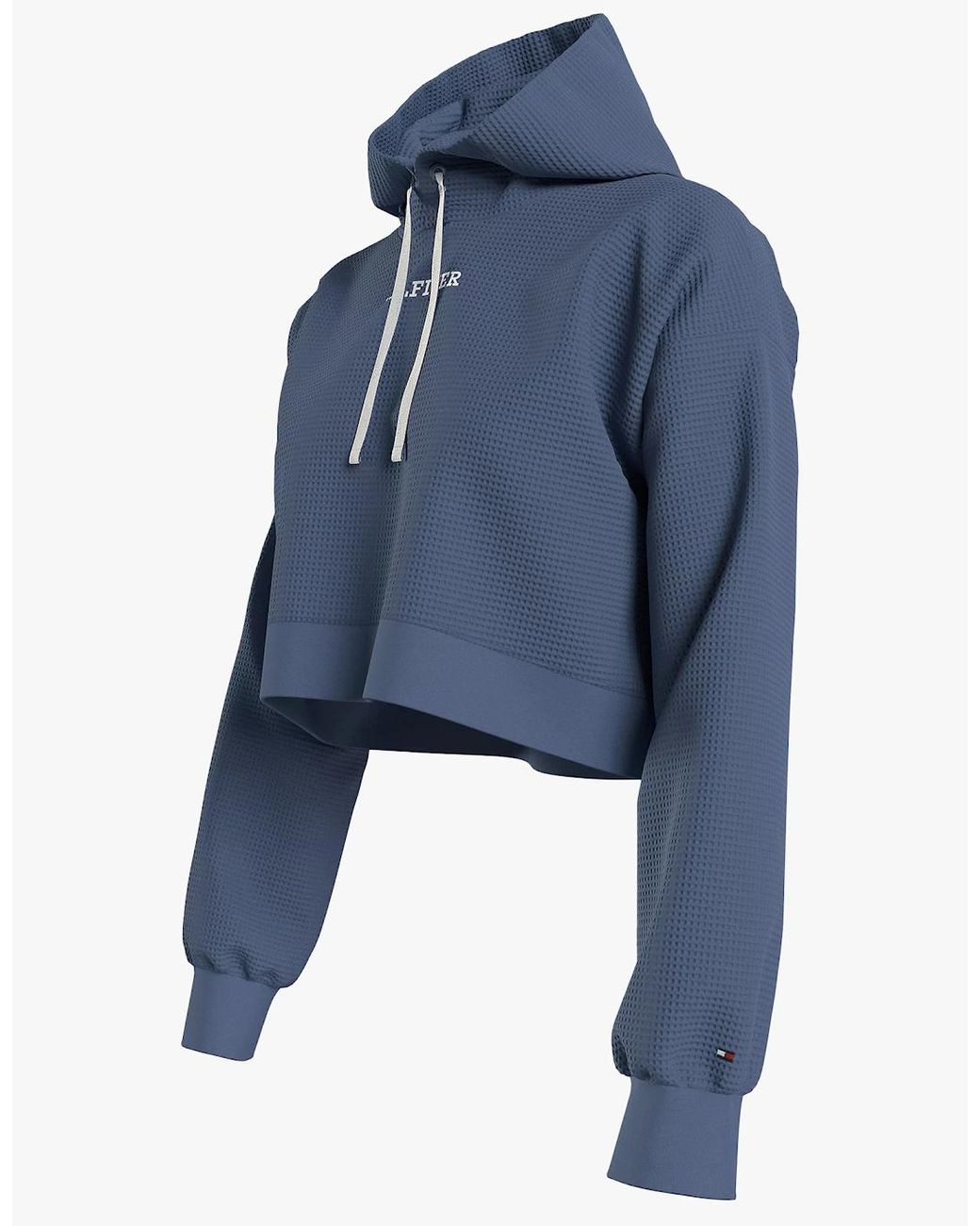 Tommy Hilfiger Blue Long Sleeve Hoodie Hoodie Iron