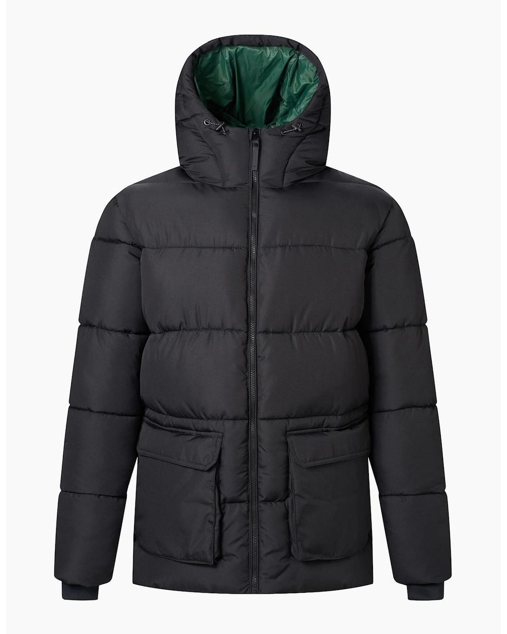 Regatta Gray Marek Short Padded Jacket for men