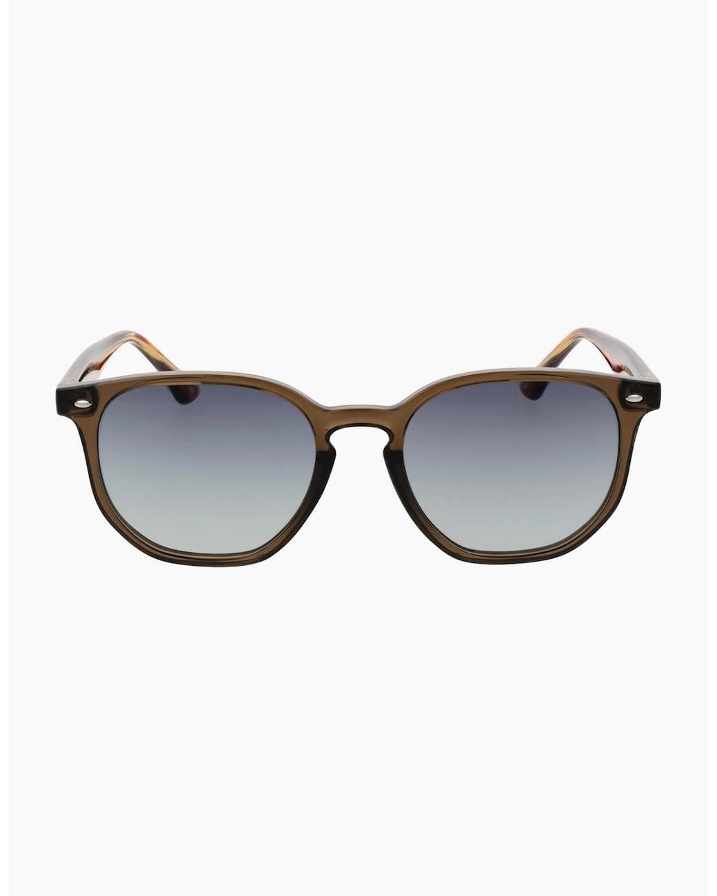Ted Baker Brown Sunglasses Tb1655 949 52 for men