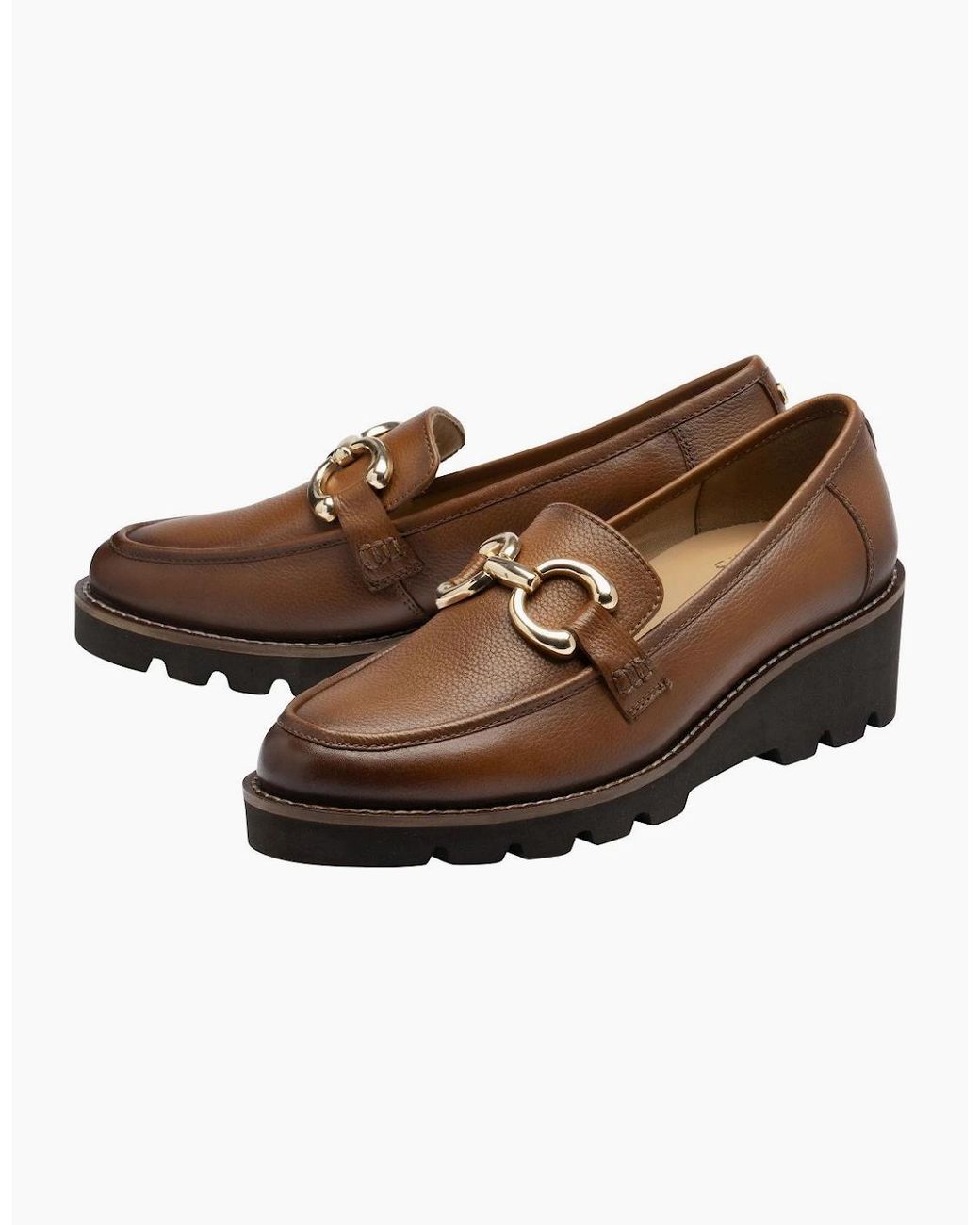 Lotus Brown Maren Loafers