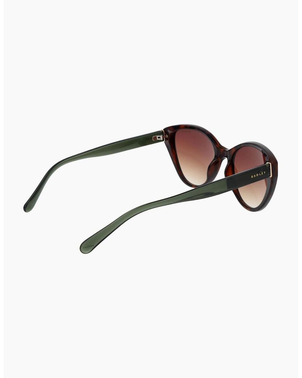 Radley Brown Sunglasses Rds-6561 102 55