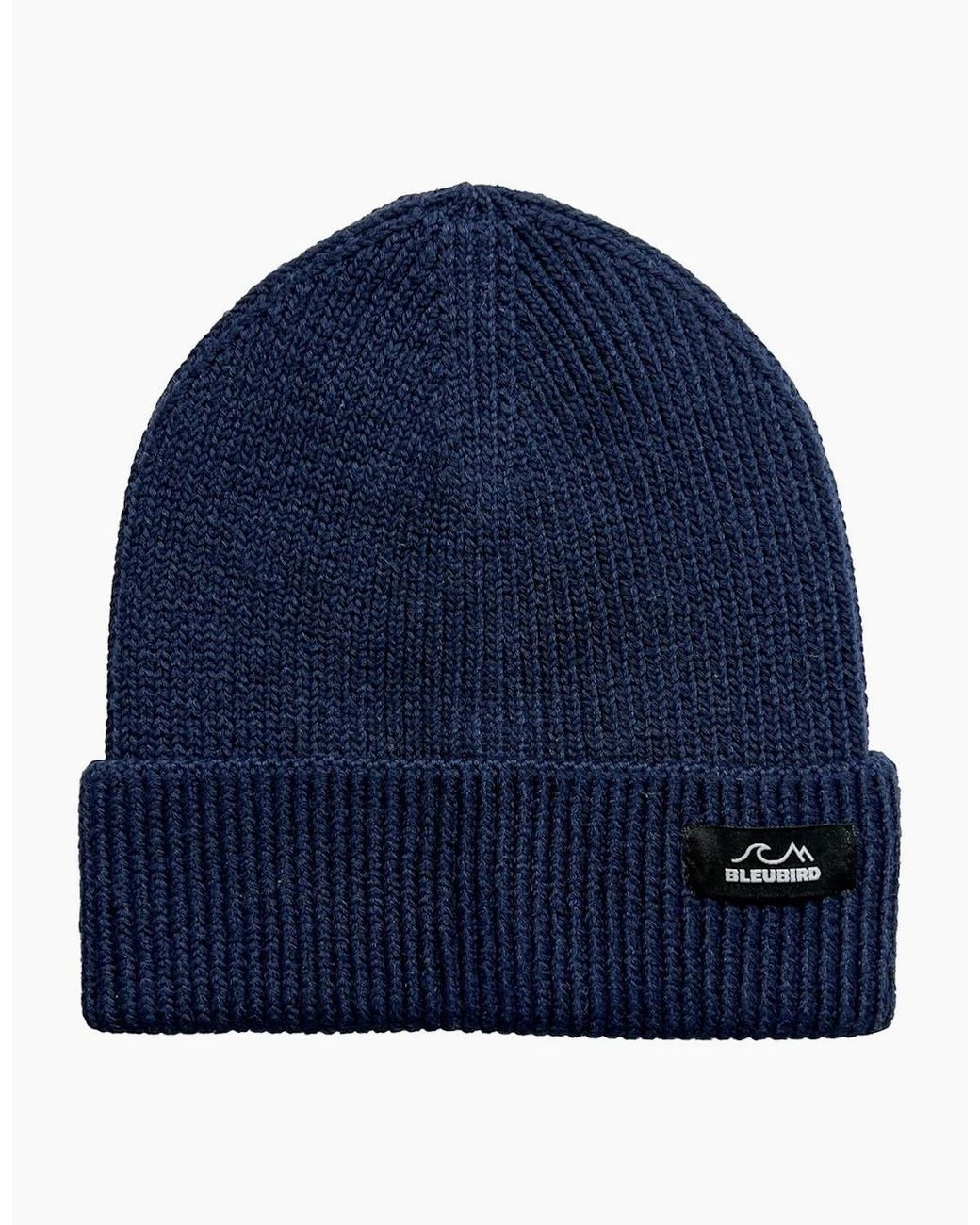 Bleubird Blue Adults Elements Ribbed Knit Cuffed Beanie