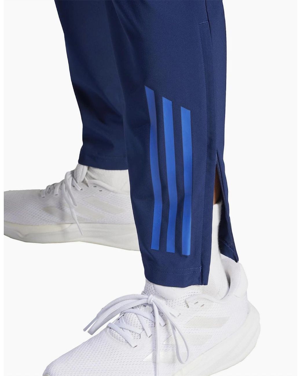 Adidas Blue Tiro24 Cprepntw Tracksuit Bottom