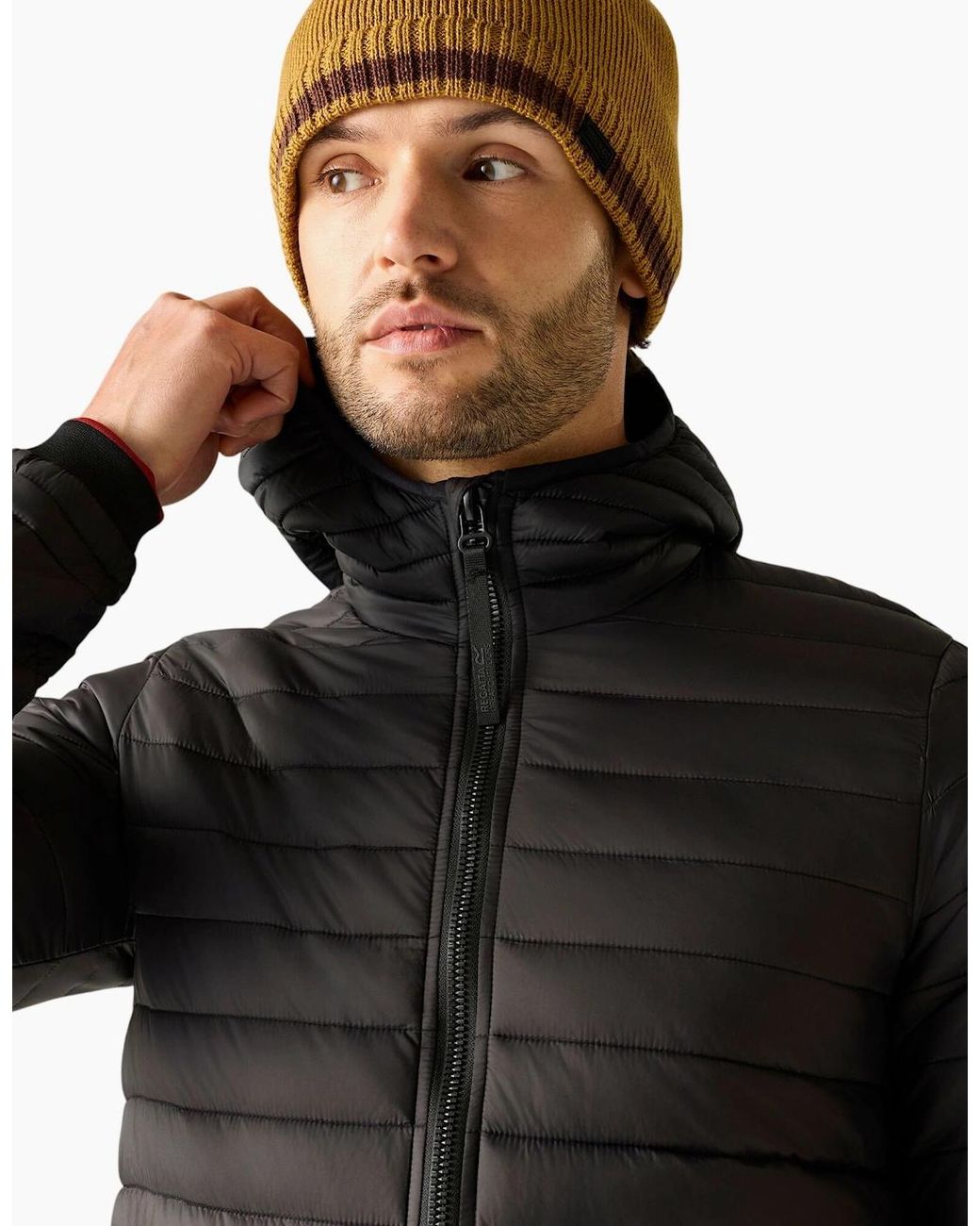 Regatta Gray Haile Padded Jacket for men