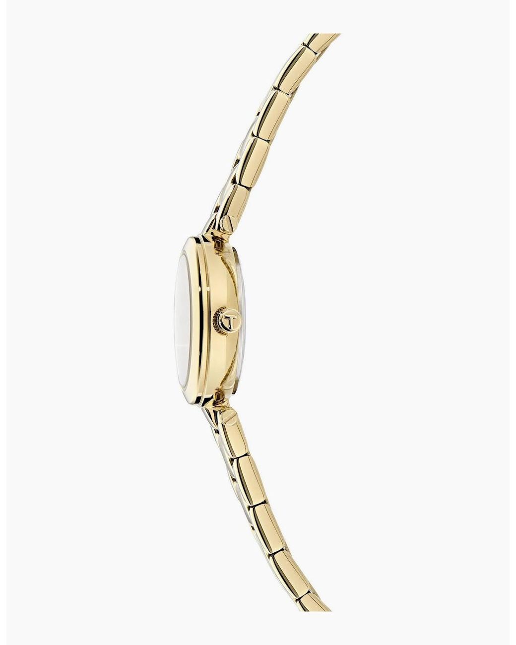 Ted Baker Metallic Jolyye Watch for men