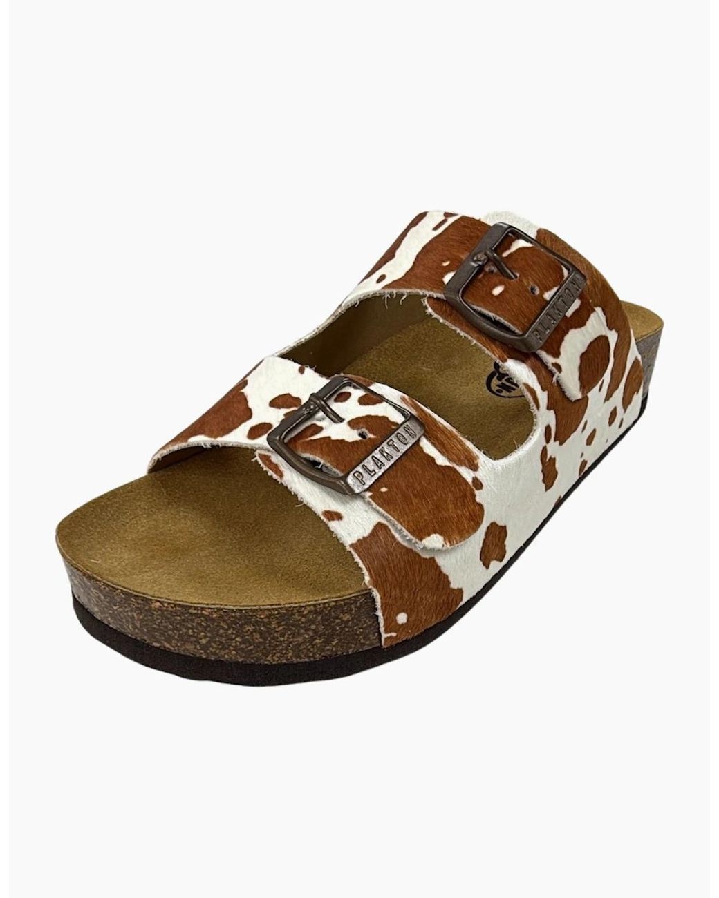 Plakton Brown Cp Beta Two-Strap