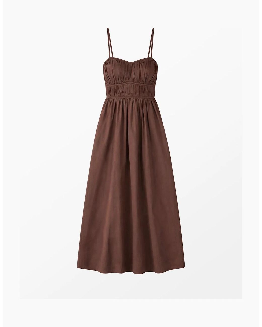 Ro&zo Brown Petite Chocolate Ruched Detail Midi Dress