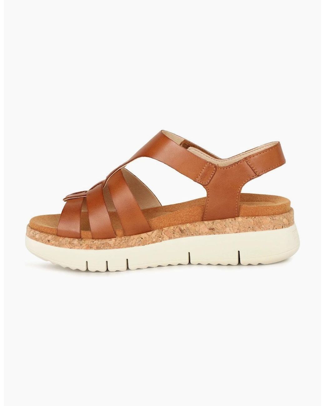 Pikolinos Brown Palma Sandals